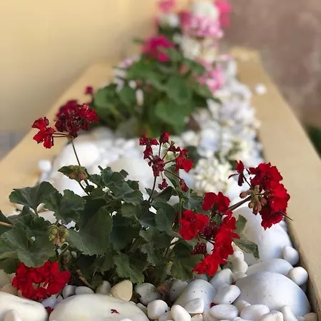 Astoria 2* أغيا غاليني